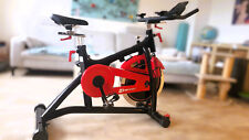 Indoor bike sport gebraucht kaufen  Stamsried