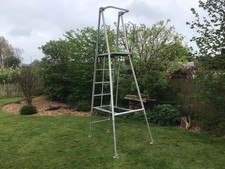 Extendable platform ladder for sale  WIMBORNE