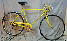 1979 schwinn collegiate for sale  Madison