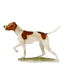 Goebel pointer dog for sale  TELFORD