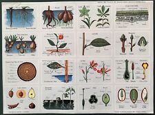 Planche pédagogique école d'occasion  Saint-Léger-sur-Dheune