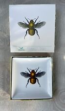 Ceramic bee square for sale  PETERSFIELD