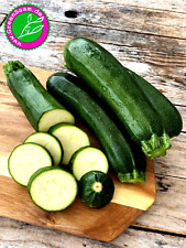 Zucchini black beauty gebraucht kaufen  Tittmoning