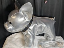 Frenchie bulldog silver for sale  Brighton