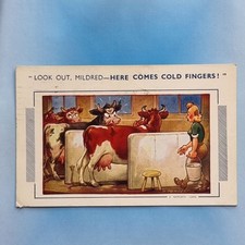 Comic postcard 1960 for sale  TELFORD