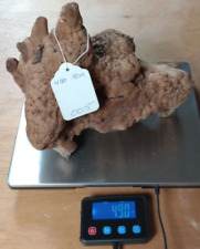 Manzanita burl root for sale  Saint Joseph