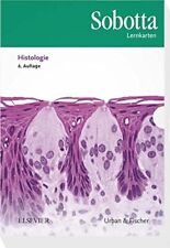 Sobotta lernkarten histologie gebraucht kaufen  Karlsruhe
