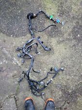 Wiring harness kit for sale  BRIGG