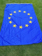 Flagge 140 220 gebraucht kaufen  Amberg