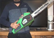 Kettensäge florabest fks gebraucht kaufen  Dorsten