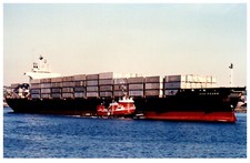 San pedro sea for sale  Silverwood