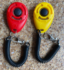 Dog clicker puppy for sale  TAMWORTH