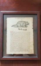 Stampa 800 castoro usato  Zeccone