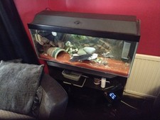 Bespoke aquarium.3ft x1ft for sale  CHESTERFIELD