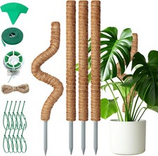 Monstera rankhilfe stück gebraucht kaufen  Berlin