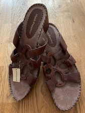 Hush puppies amaryllis for sale  HORLEY