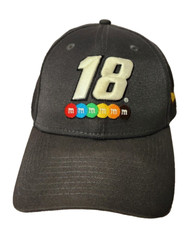 Nascar kyle busch for sale  Apalachin