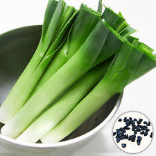 Giant leek seeds for sale  WARRINGTON