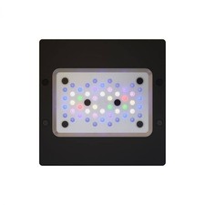 Ecotech radion xr15 for sale  Davenport