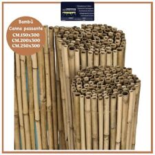 Arella arelle bamboo usato  Supersano