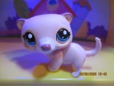 Petshop ferret 1624 d'occasion  Expédié en Belgium