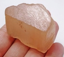 248ct natural orange for sale  Walnut