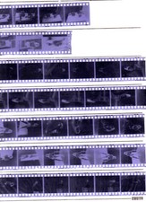 Negatives for sale  EXETER