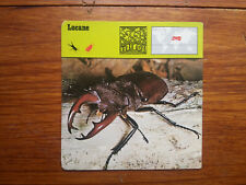 Lucane lucanus cervus d'occasion  Beaumont-de-Lomagne