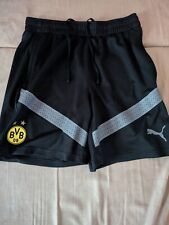 Bvb borussia dortmund gebraucht kaufen  Heuchelheim