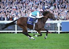 Frankel horse racing for sale  LONDON