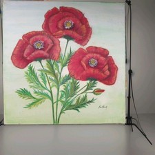 Bild mohnblumen 40x40cm gebraucht kaufen  München