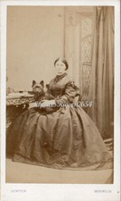 Norwich cdv lady for sale  EVESHAM