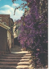 Cpm provence côte d'occasion  La Chaize-le-Vicomte