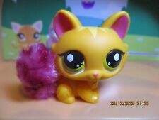 Petshop cat sphynx d'occasion  Expédié en Belgium