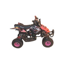 Mini quad repty usato  Biella