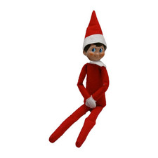 2013 elf shelf for sale  Westport