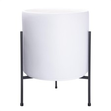 Modern white plants for sale  Seattle