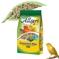 Allegrì canarini mix usato  Valva