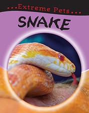 Snake julia bird for sale  UK