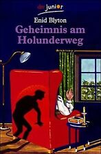 Geheimnis holunderweg blyton gebraucht kaufen  Berlin
