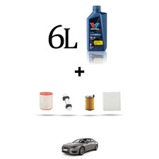 Hoffcar kit tagliando usato  Italia