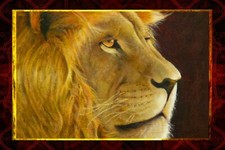 Canvas wraps designed for sale  USA