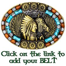 Indian chief horse for sale  NEWTON ABBOT