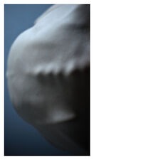 Photo masculin photographie d'occasion  Montpellier-