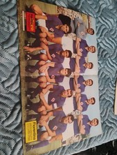 Poster squadra fiorentina. usato  Savona