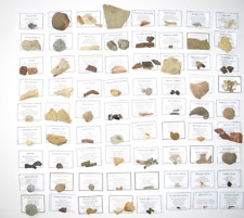 Piece fossil collection for sale  WAKEFIELD