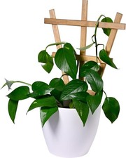 Dobar dekorative blumentopf gebraucht kaufen  Birkenfeld