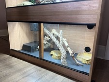 Premium repti luxe for sale  WALLASEY