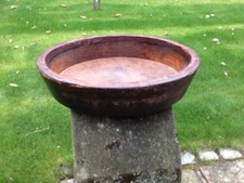 Large antique sycamore for sale  MACCLESFIELD