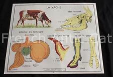 Ancienne affiche école d'occasion  Péronnas